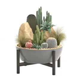 Plant collection 3